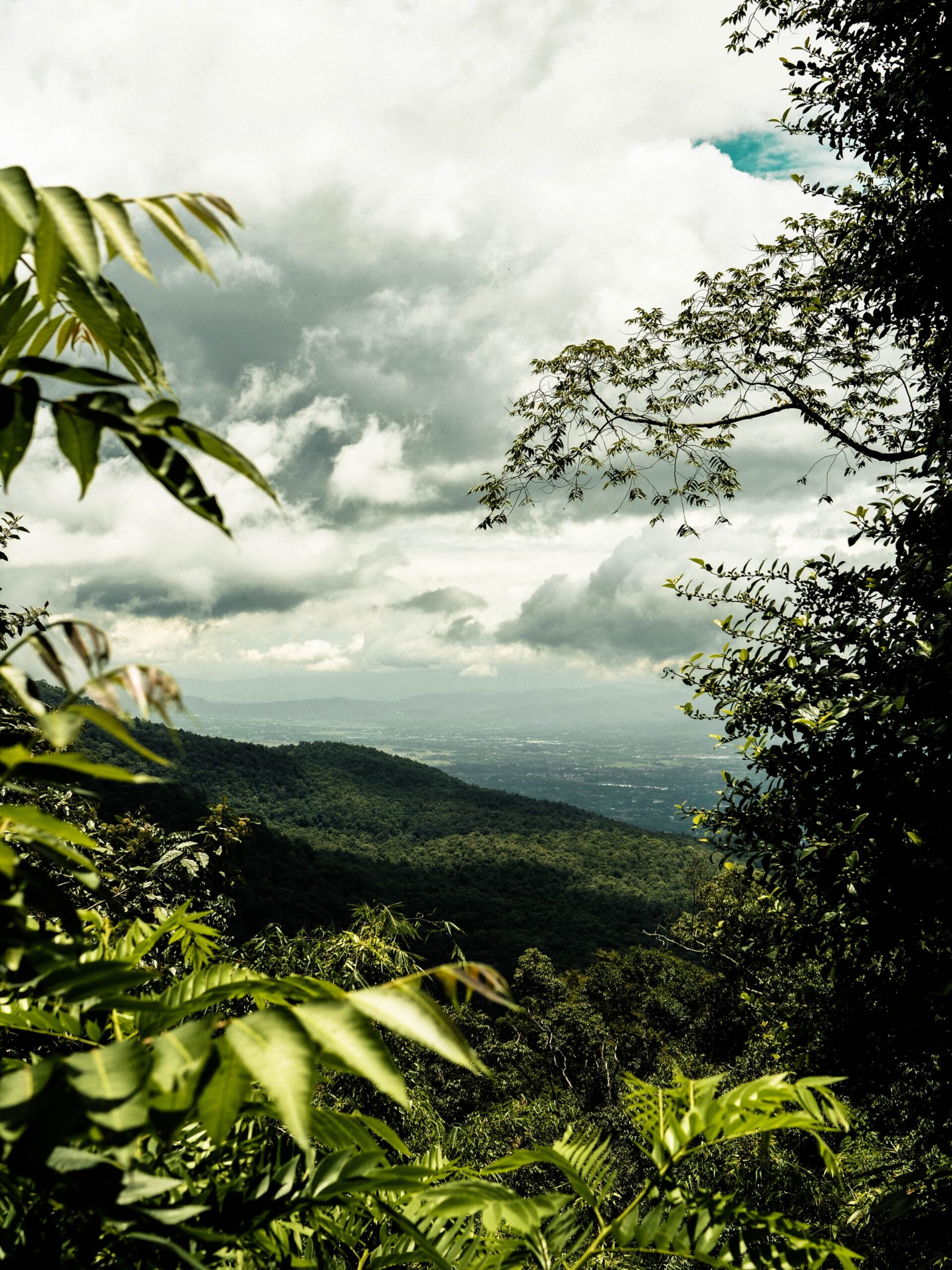 Chiang Mai Chang Phueak. EANET Acid