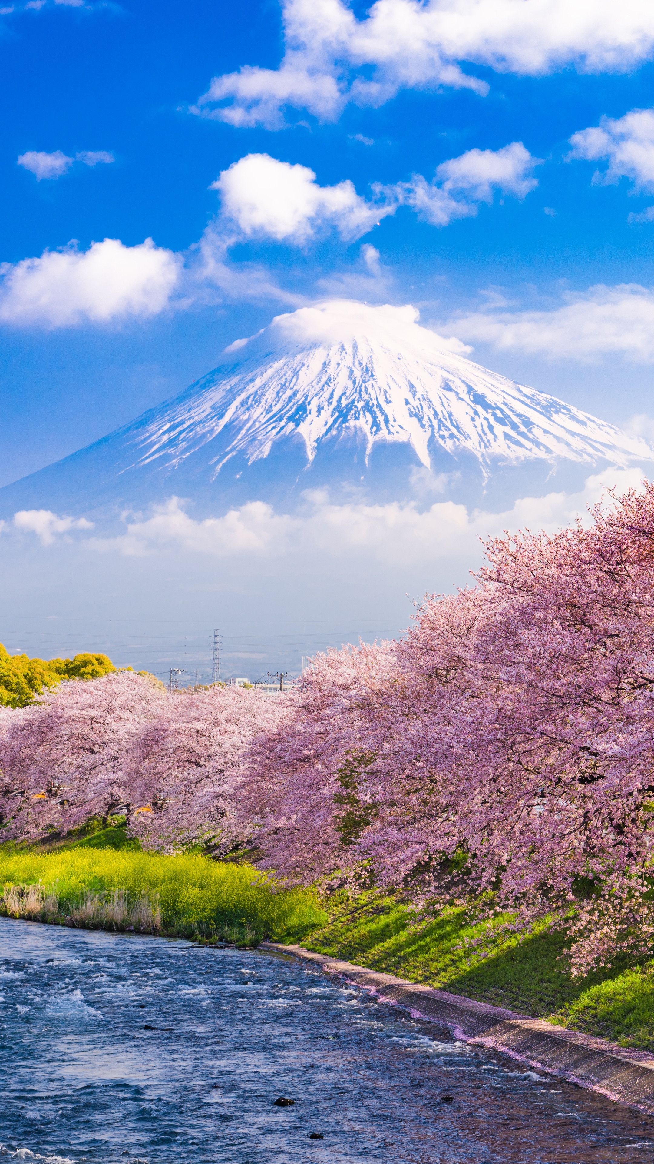 Mount Fuji iPhone Wallpaper