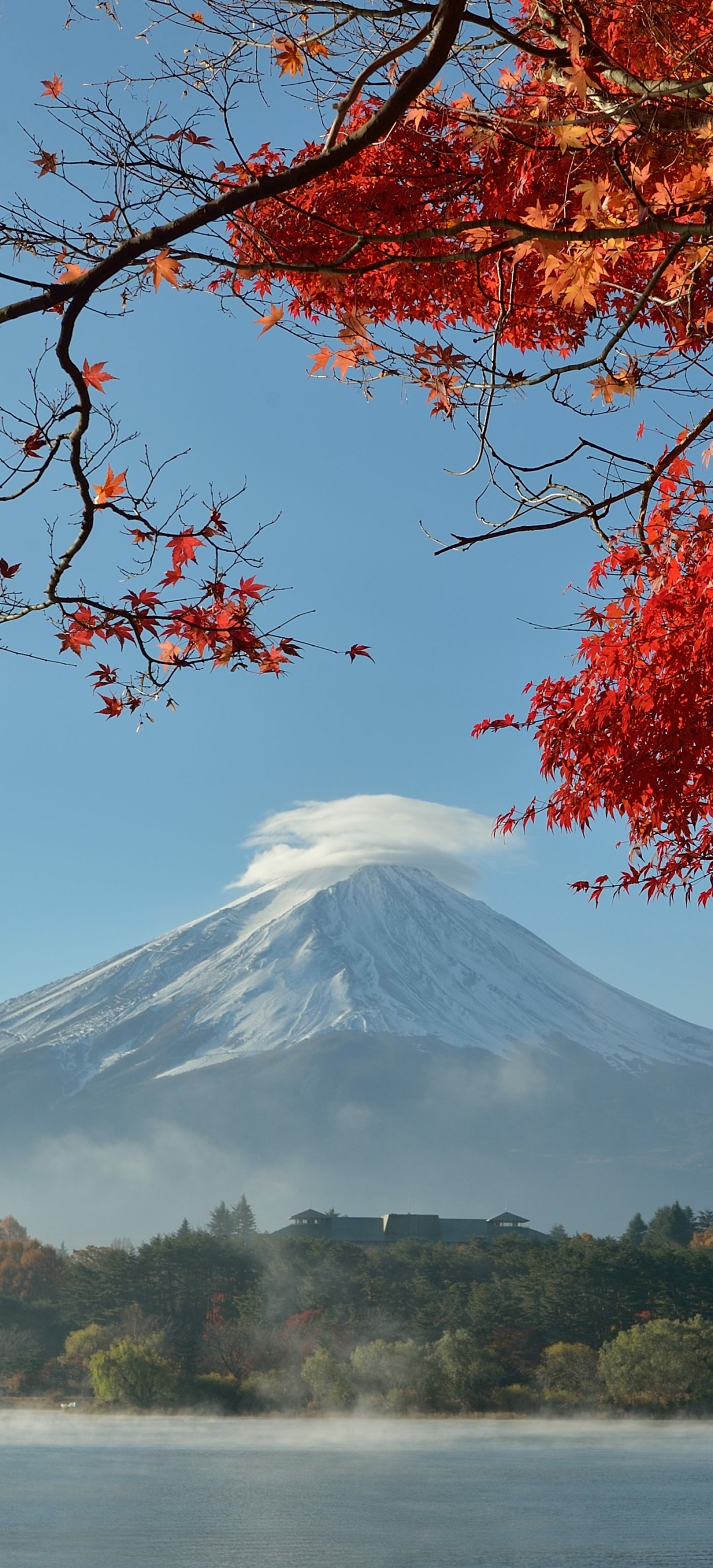 Mount Fuji Phone Wallpapers - Wallpaper Cave