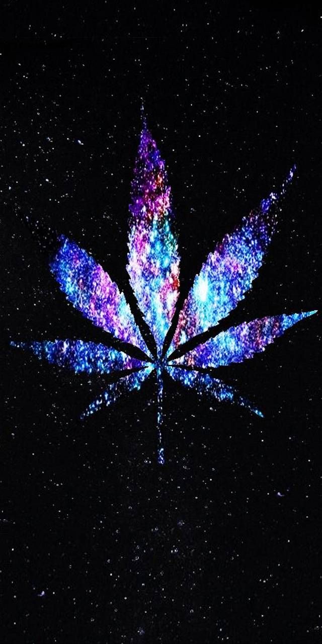 Stunning Leaf Wallpaper for Your Phone