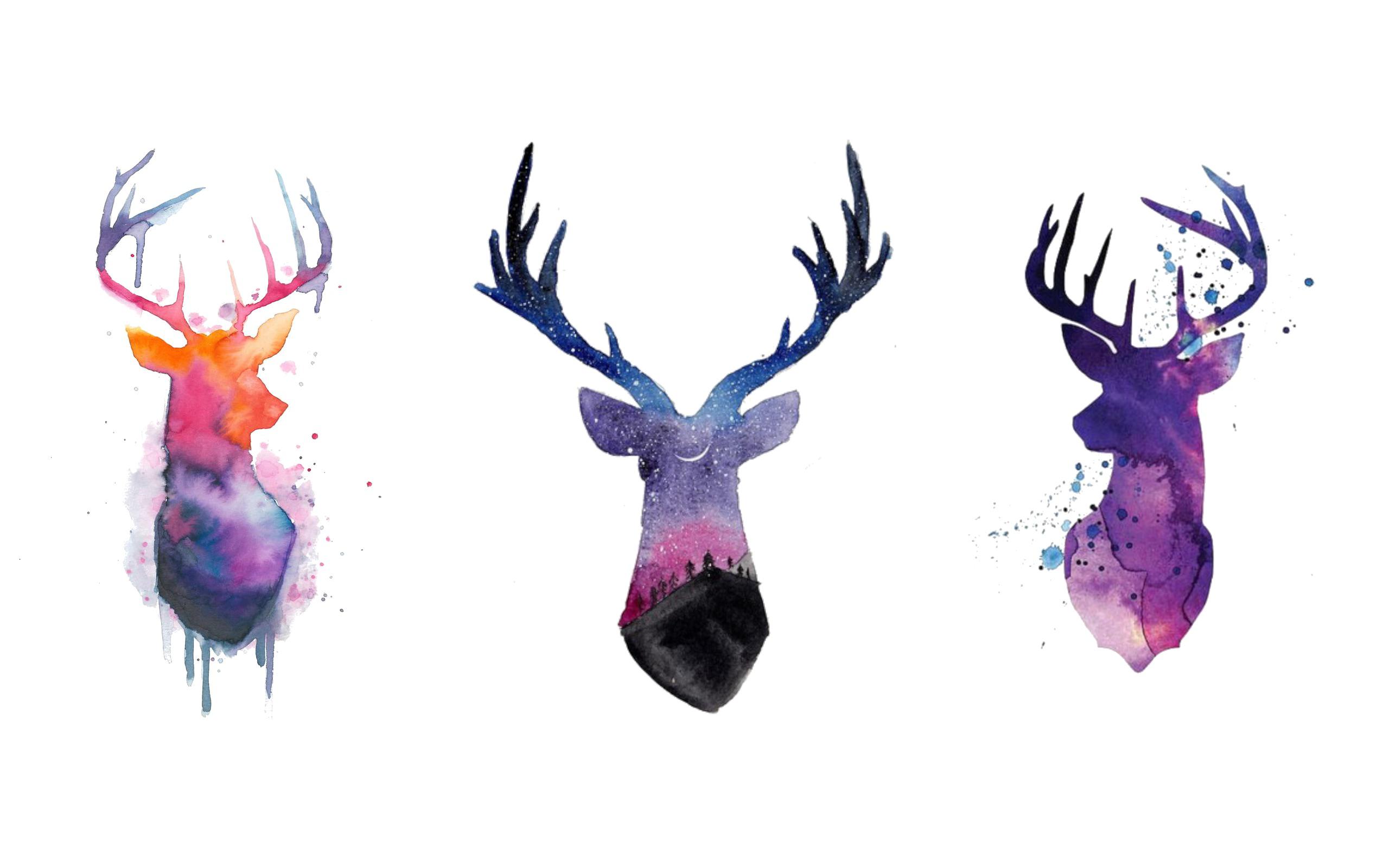 Sky Moose Wallpaper, r