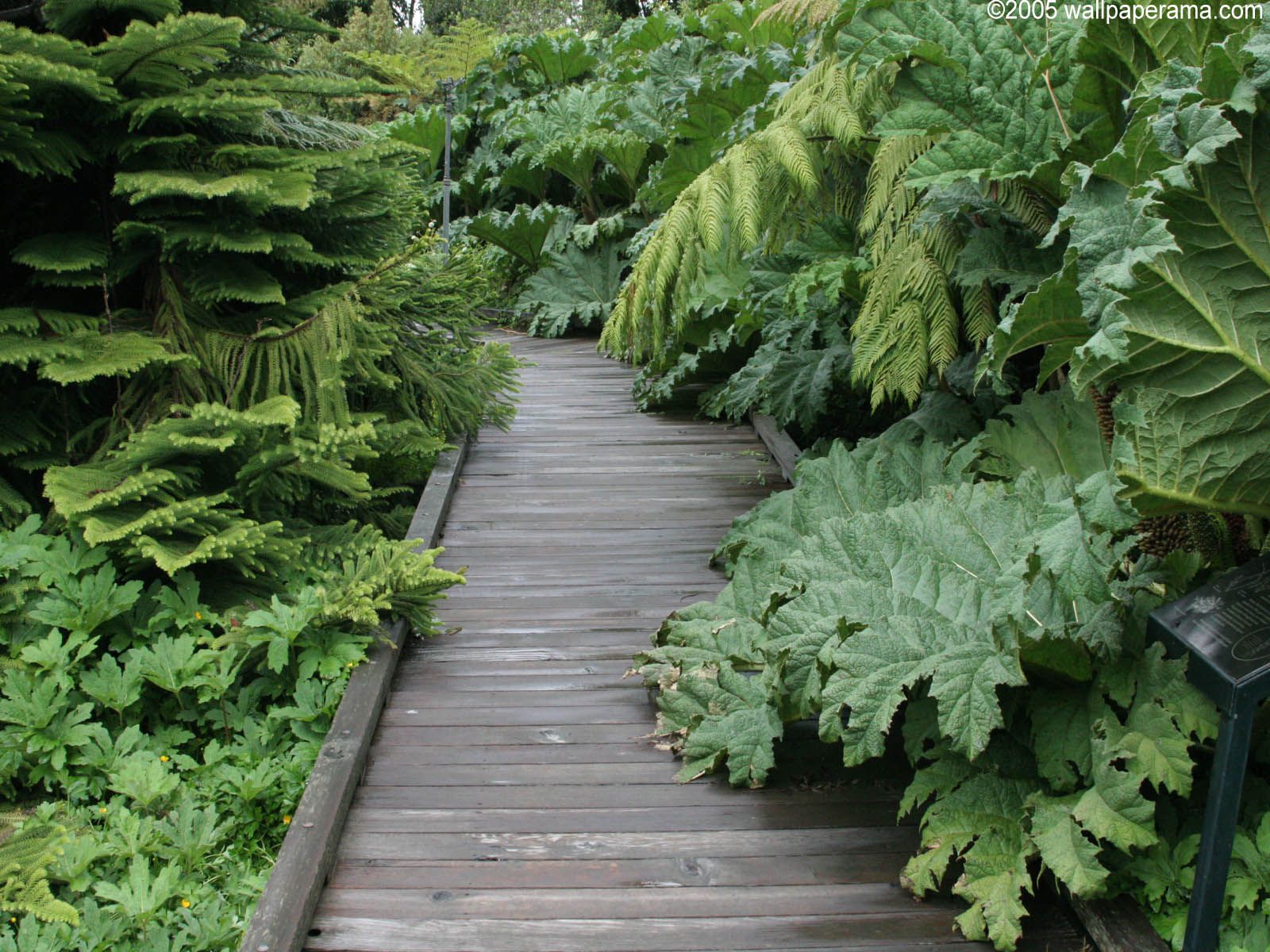 Green Garden Wallpaper 50 Wallpaper