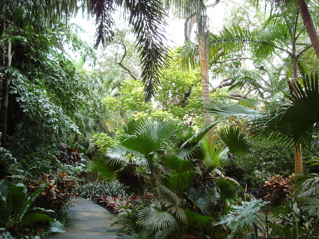 Tropical Garden Wallpaper