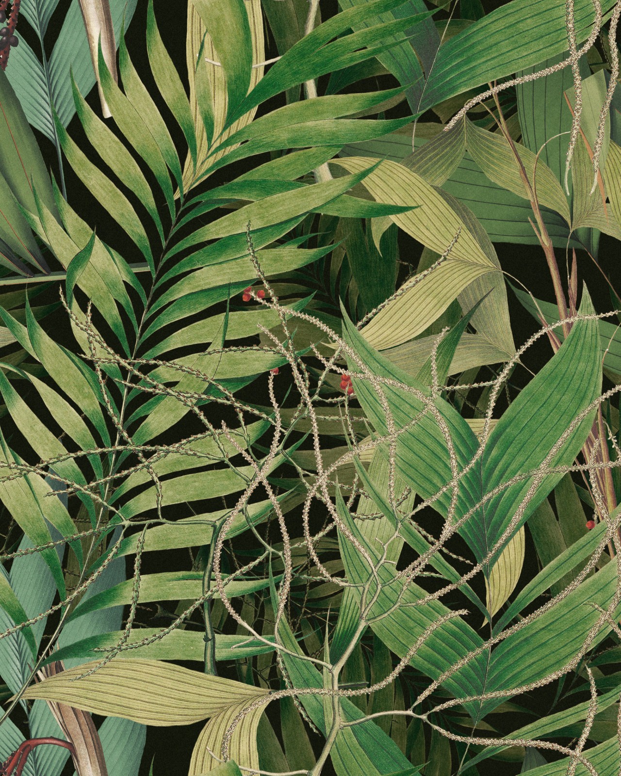 EXOTIC GARDEN Wallpaper