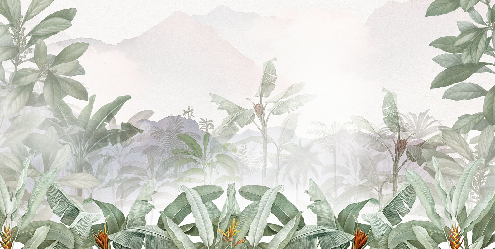 Foggy Tropical Jungle Garden Wall Mural