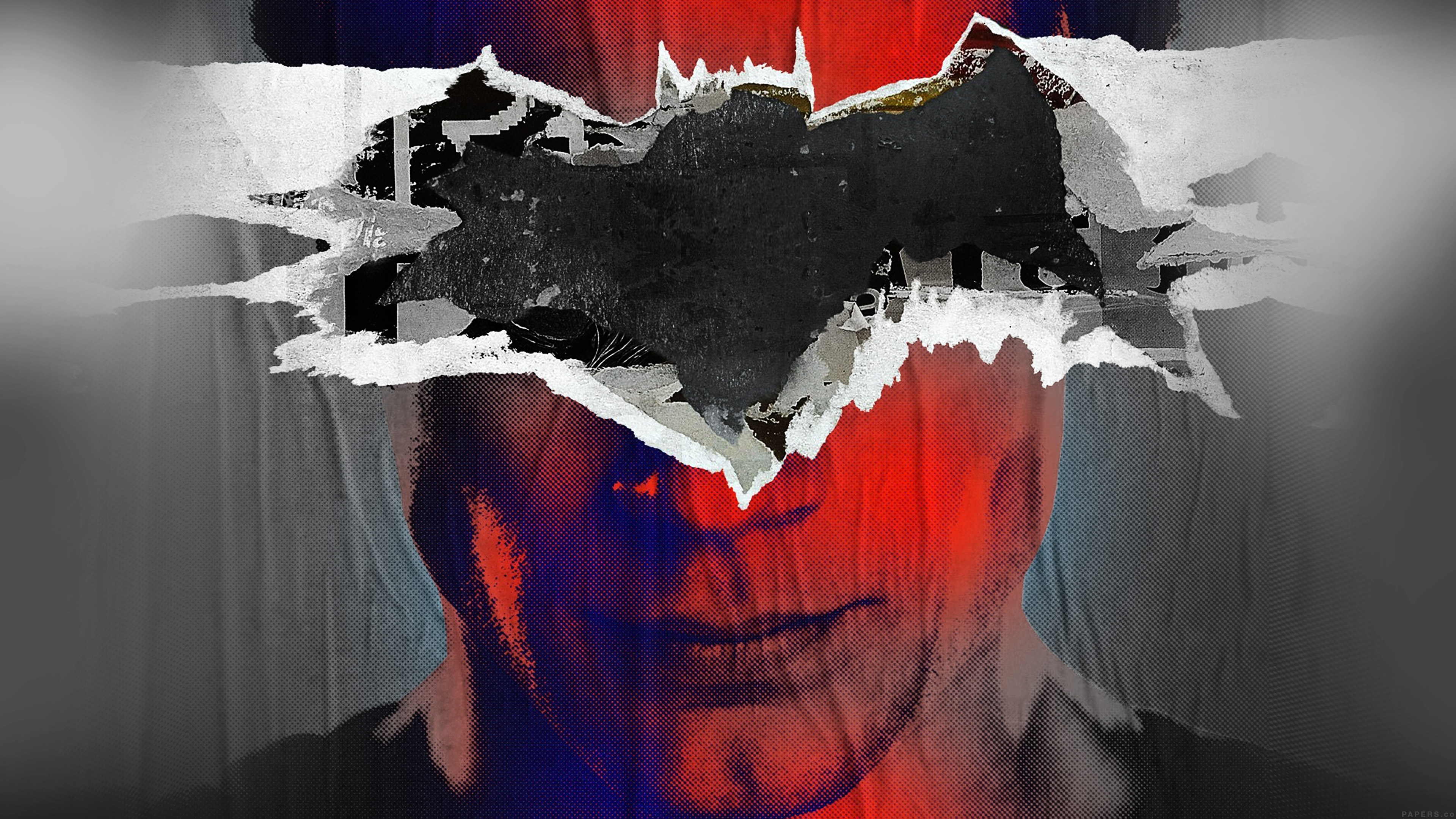 Batman Superman Poster Illust Art