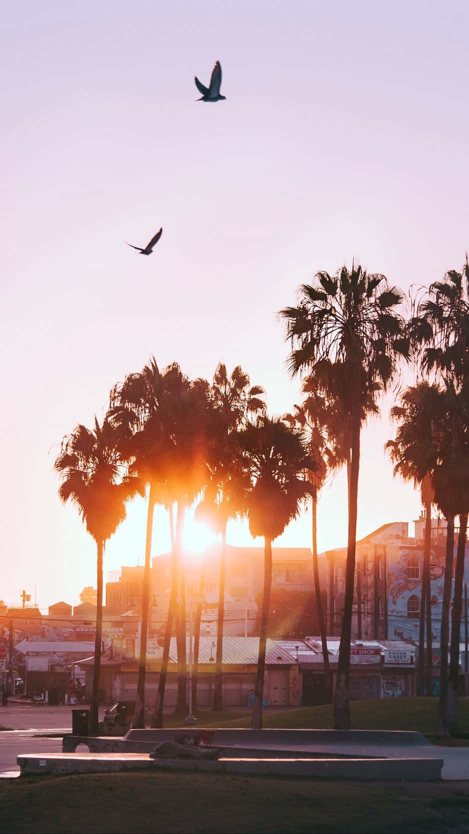 Los Angeles with your iPhone Wallpaper