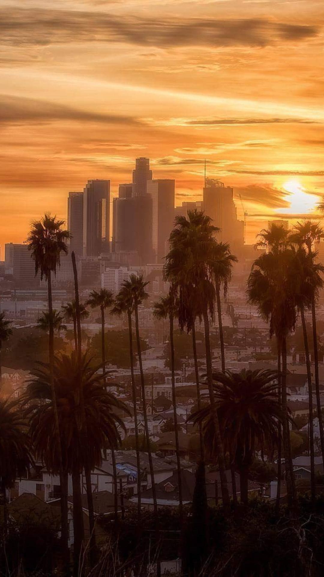 Los Angeles Wallpaper