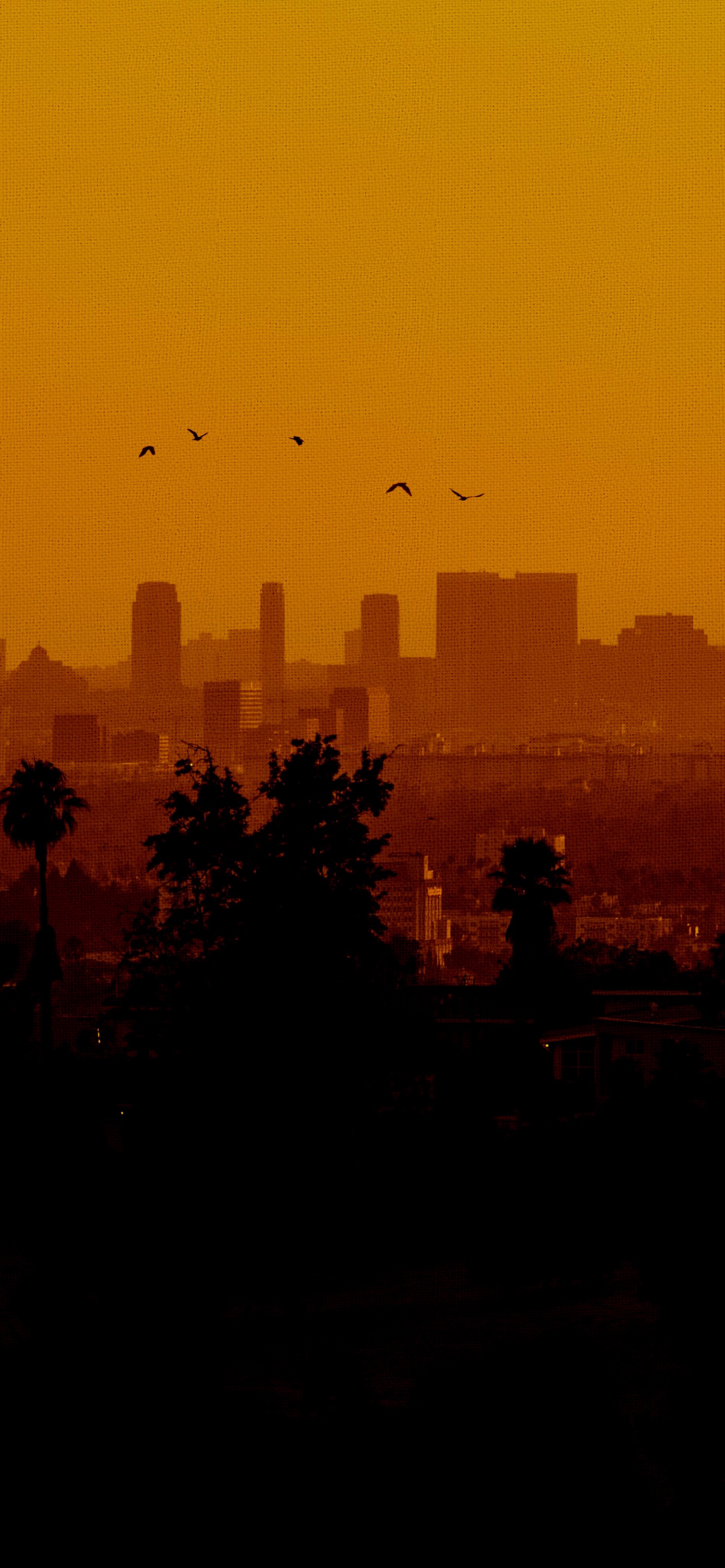 iPhone sunset canvas wallpaper