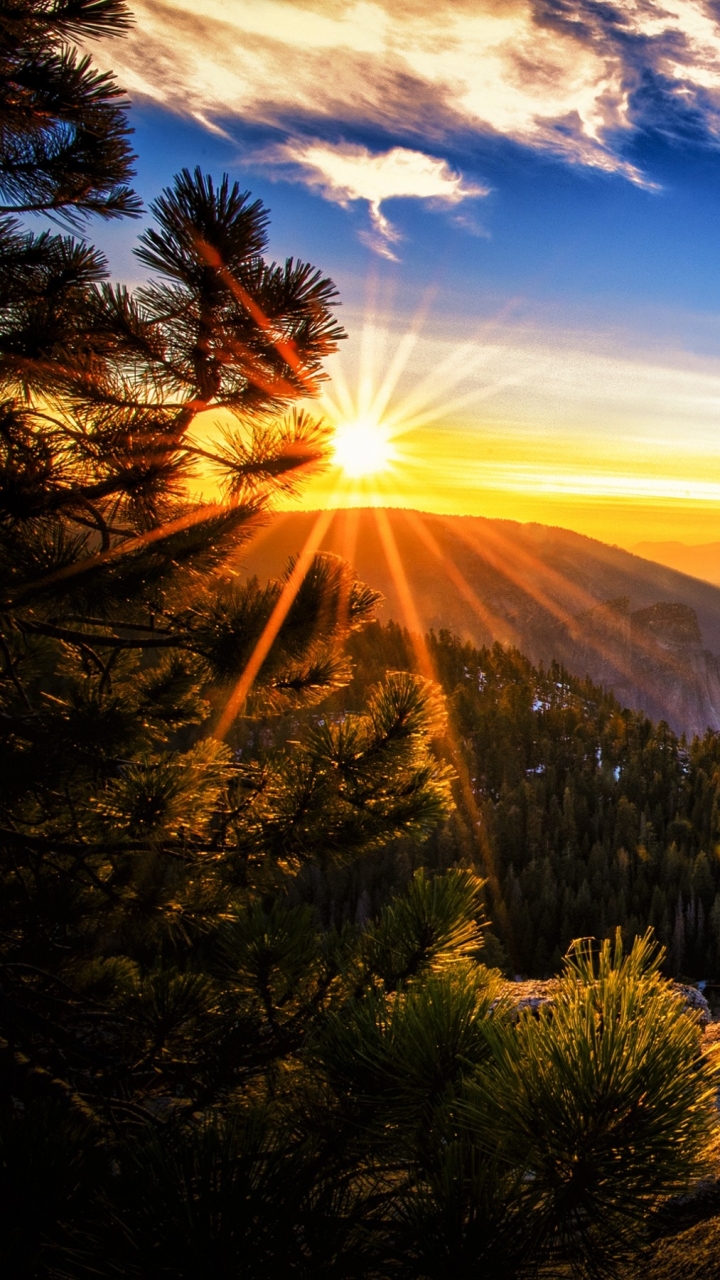 Sunrise Phone Wallpaper