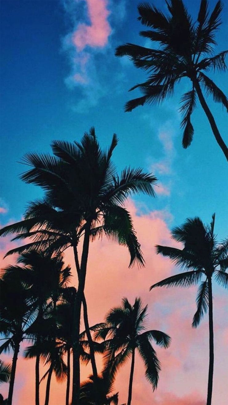 iphone wallpaper, iphone x wallpaper