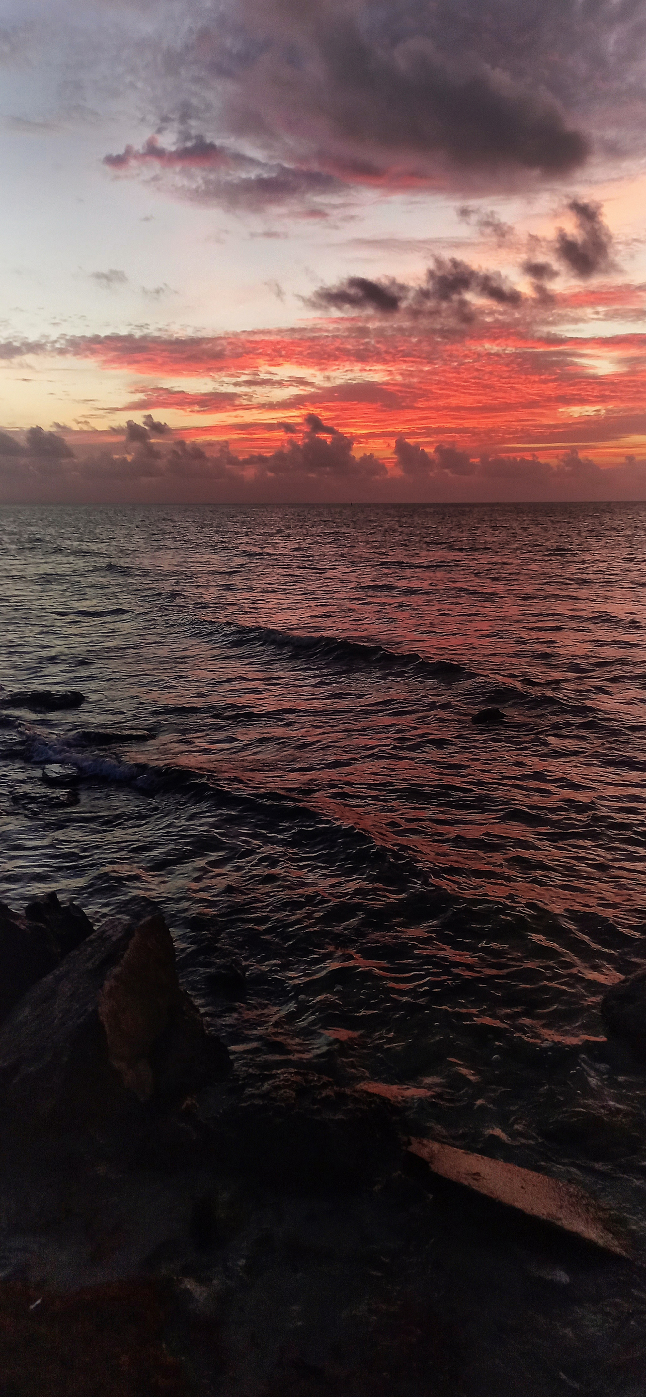 Sunrise At The Beach Mobile Phone Wallpaper