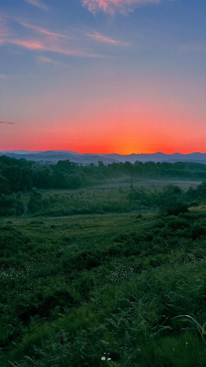 Green nature wallpaper, Sunrise background