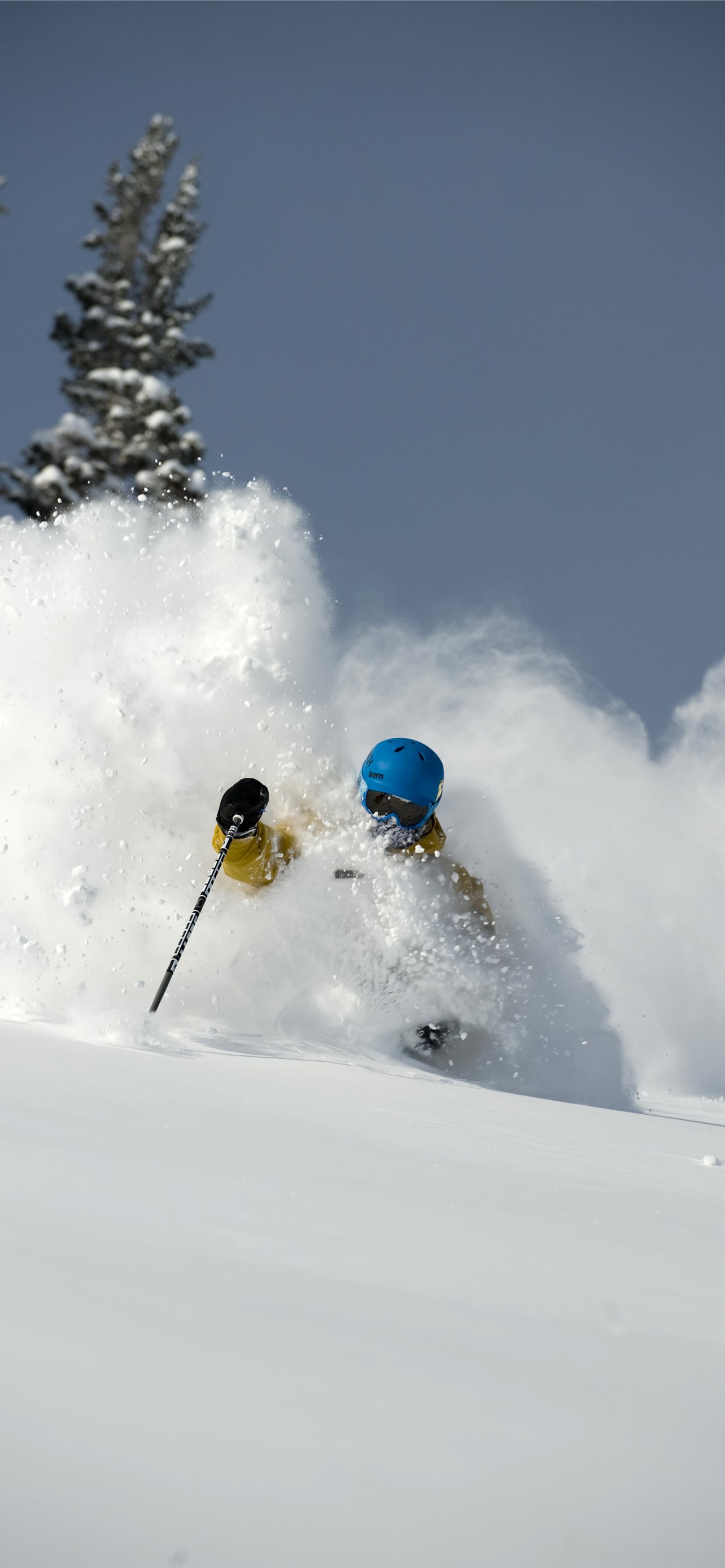 skiing iPhone Wallpaper Free Download