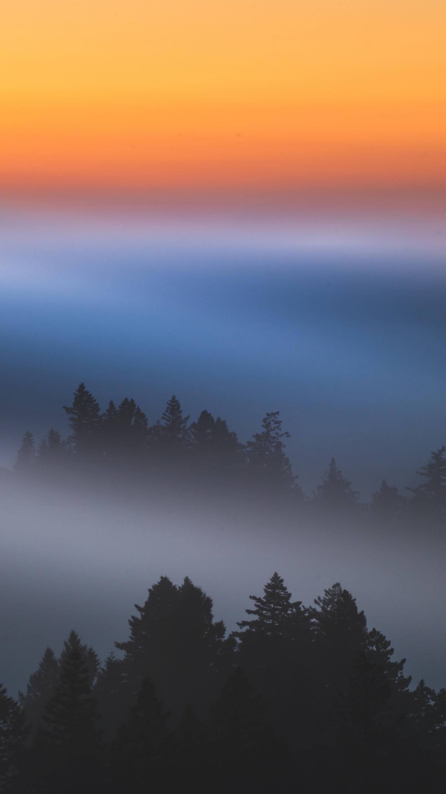 Sunrise Wallpaper 4K, Dawn, Early