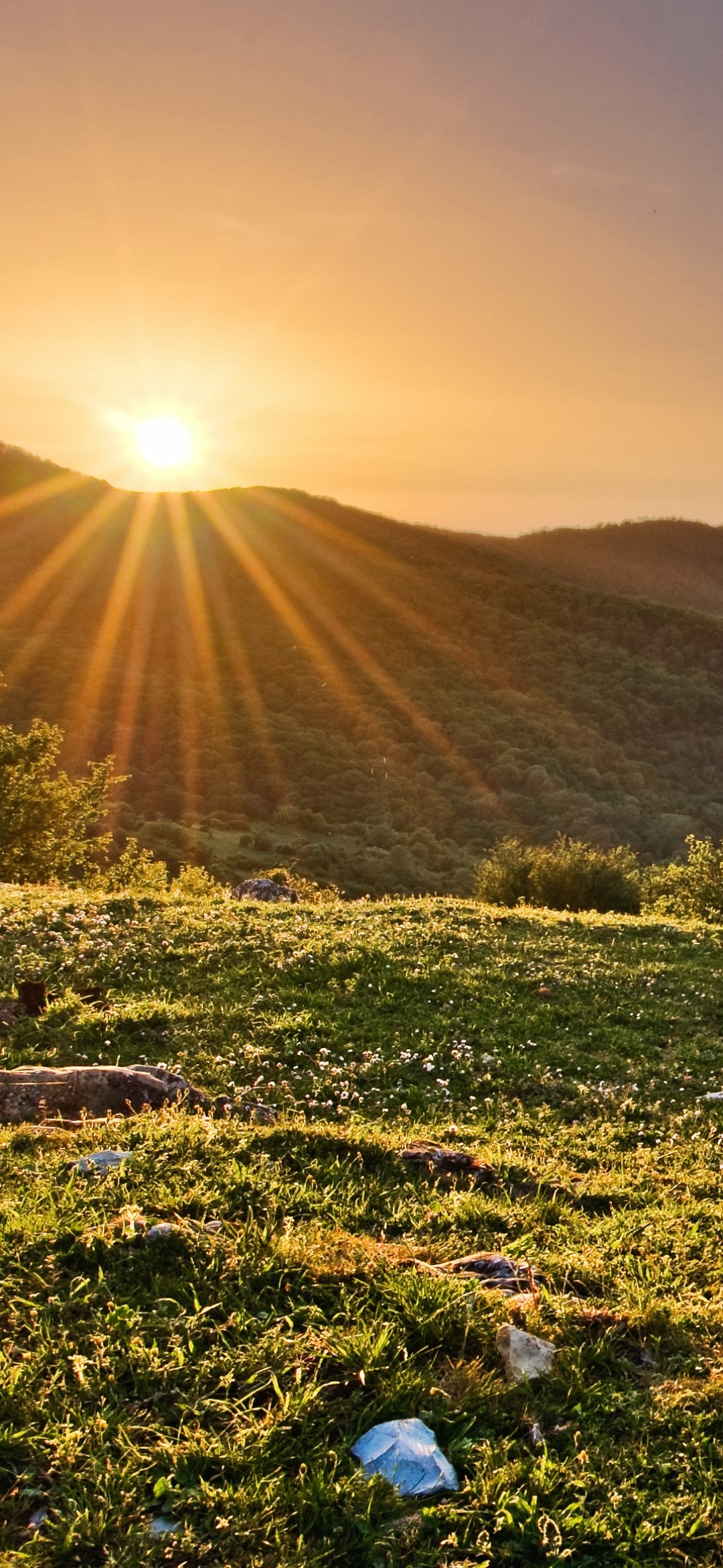 Sunrise Phone Wallpaper