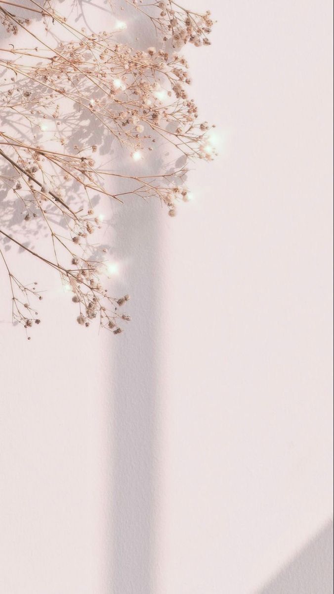 iPhone wallpaper elegant