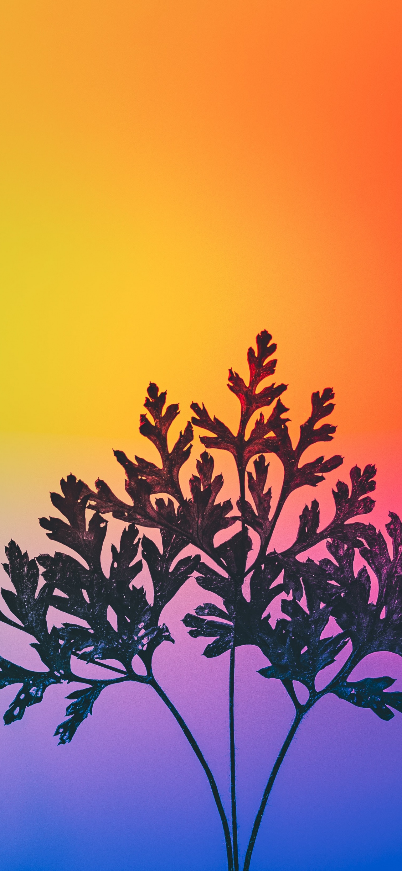 Herbal plant Wallpaper 4K, Gradient