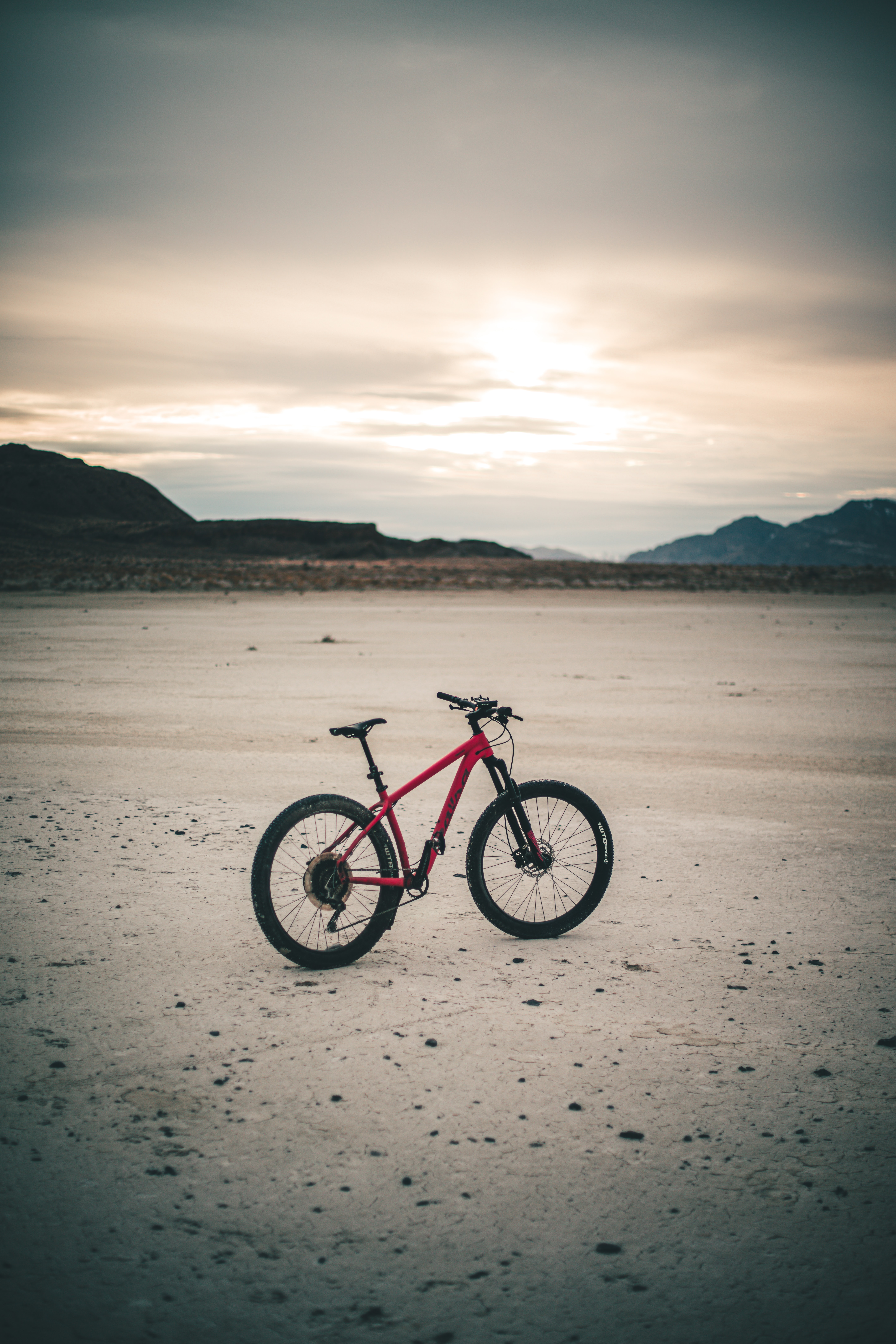 Download Mtb wallpaper for mobile