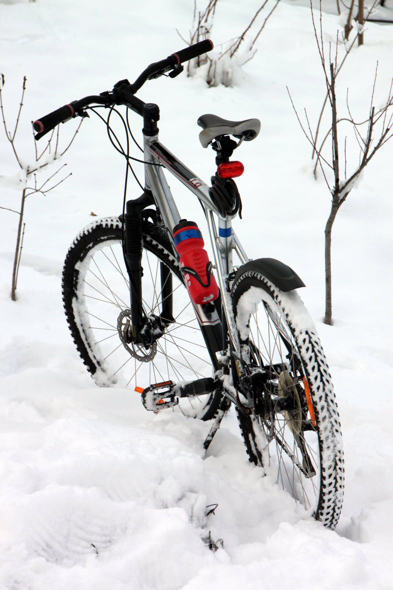 Download Mountain Bike Wallpaper