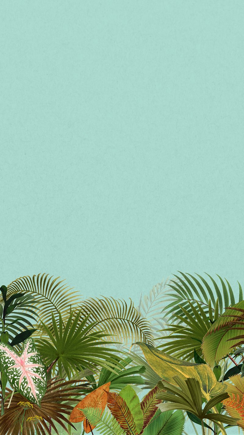 Tropical palm trees iPhone wallpaper