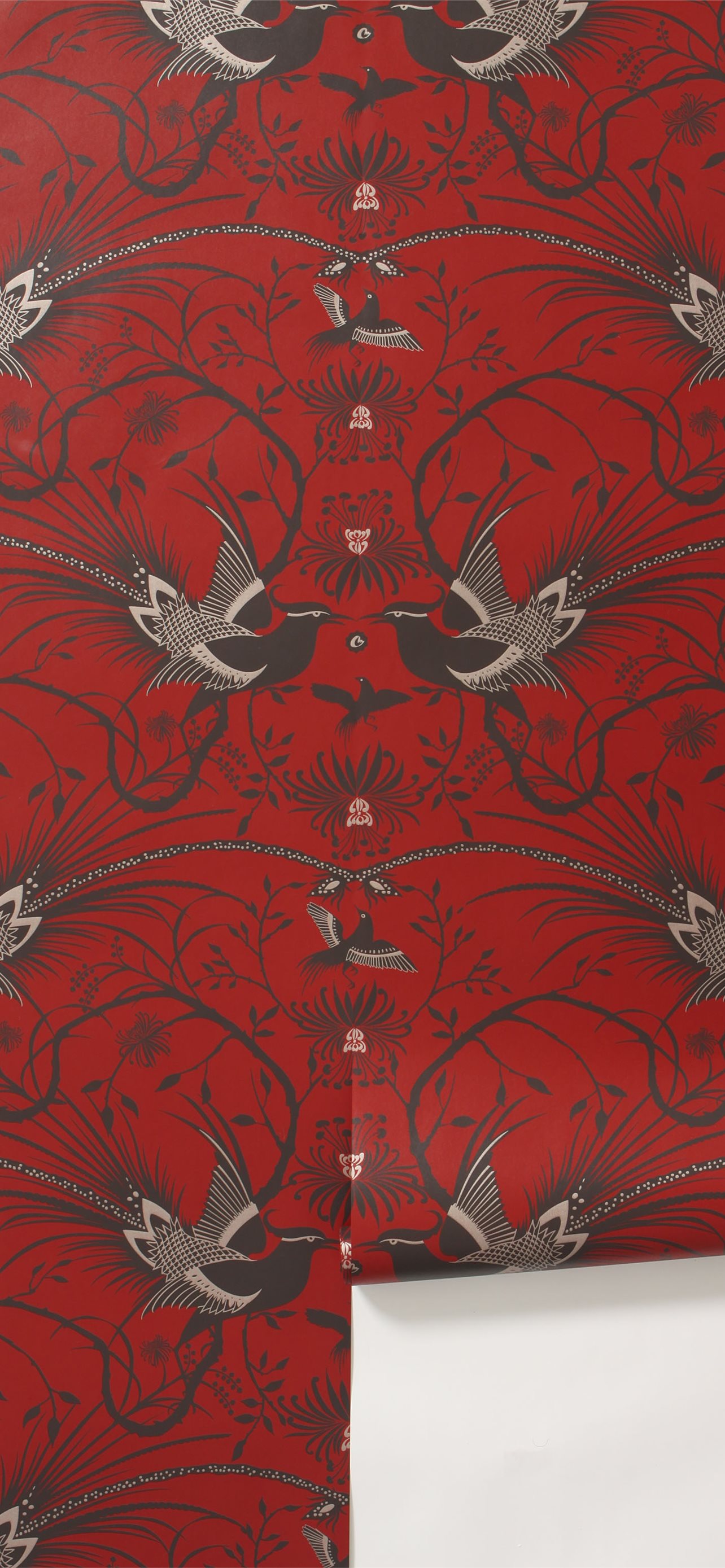 Best Ajax amsterdam iPhone HD