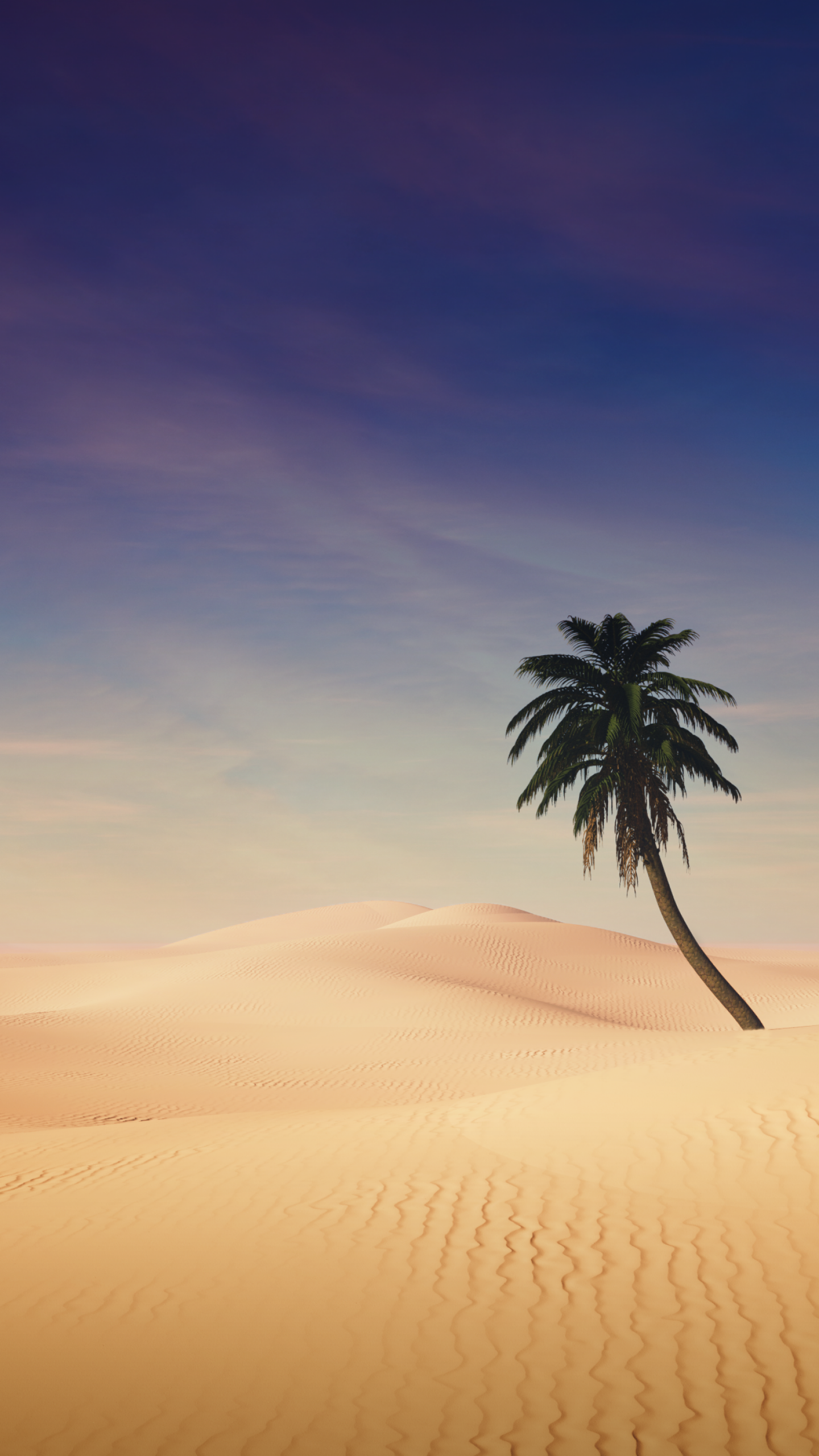 Palm tree Wallpaper 4K, Desert, Sand
