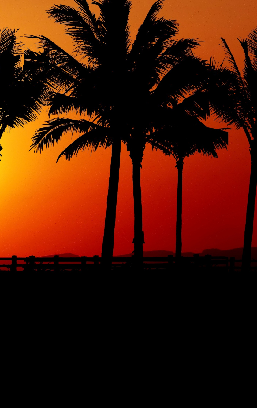 Download wallpaper 840x1336 sunset