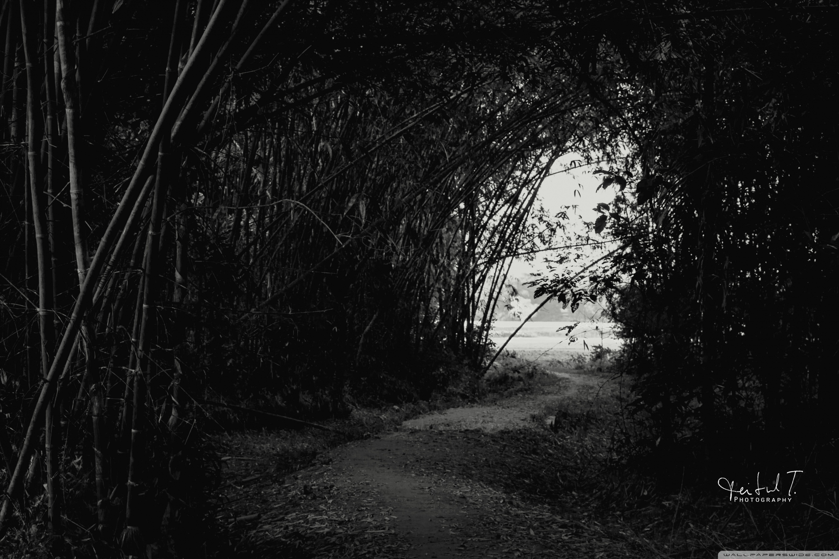 Ultra HD Desktop Background Wallpaper