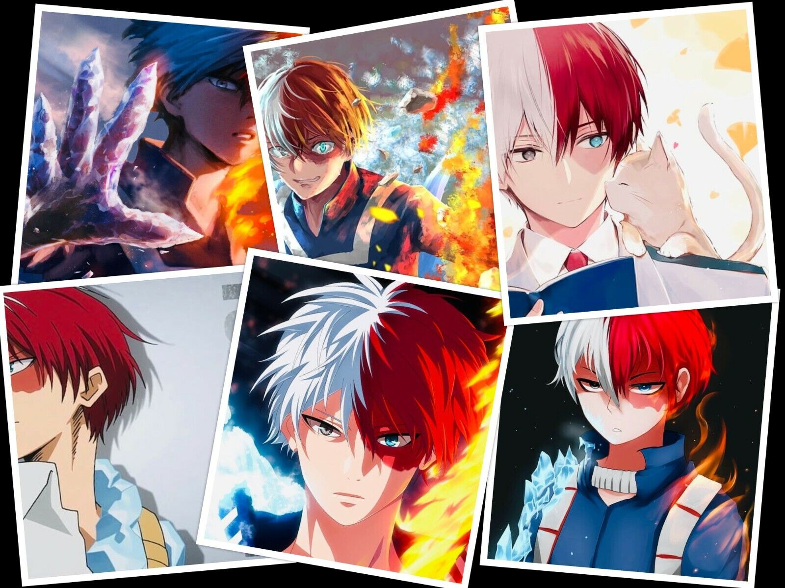 shoto todoroki 6 Photo Set My