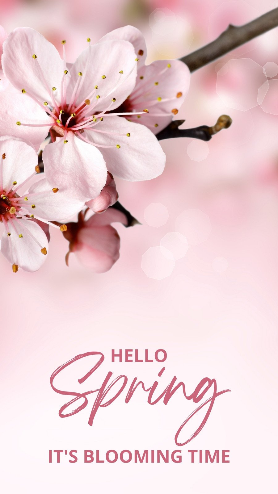 Spring Time Phone Wallpapers - Wallpaper Cave