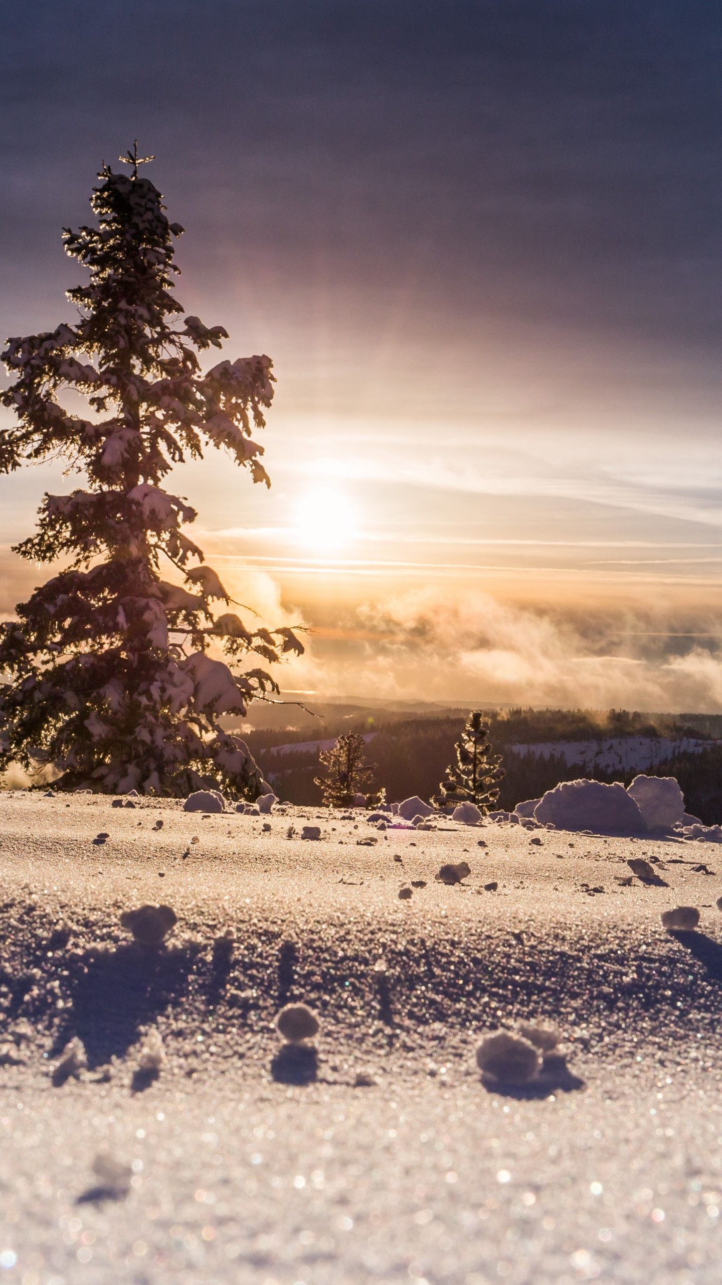 Download wallpaper: Perfect Winter view