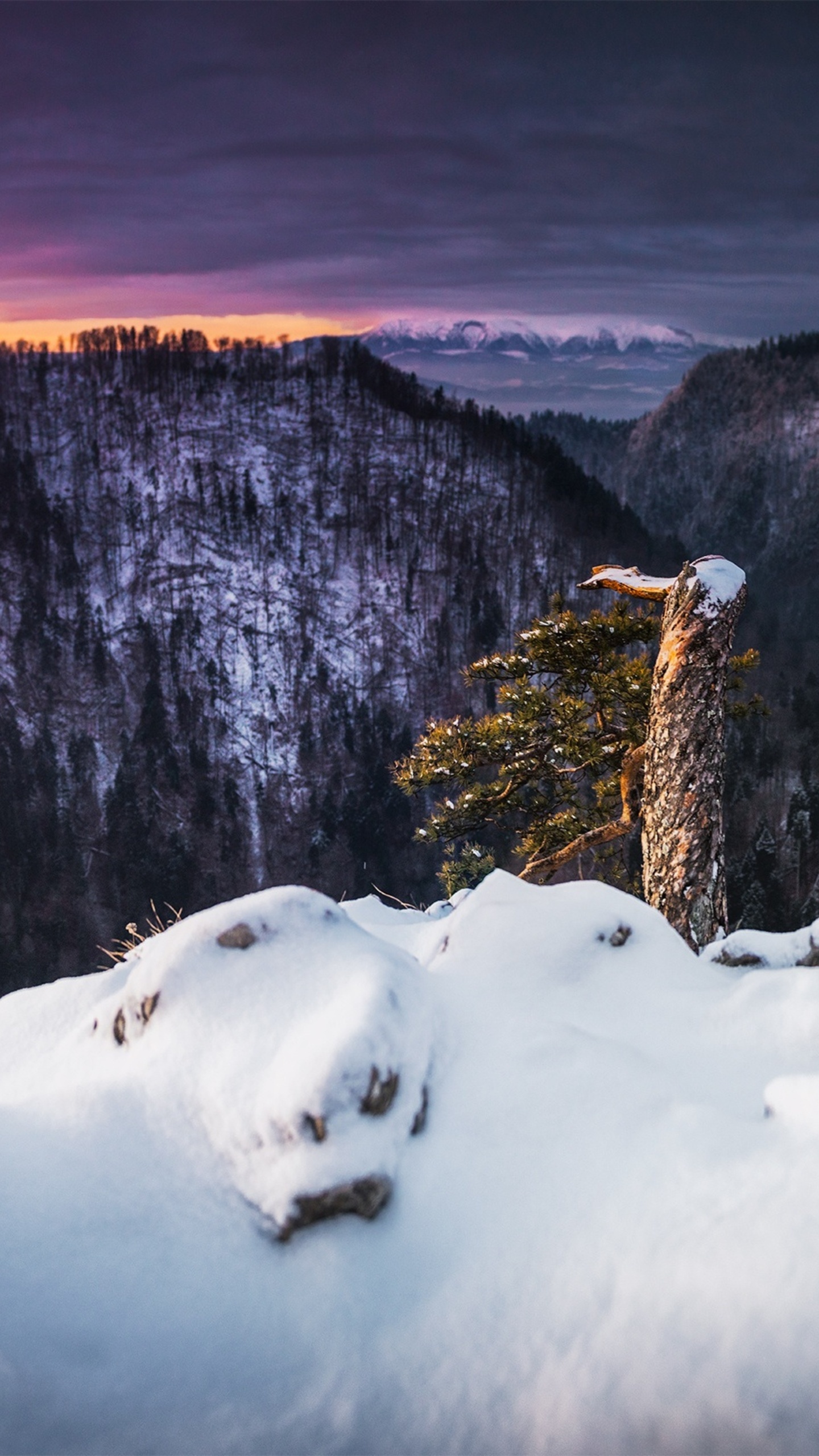 Winter Landscape Snow Samsung
