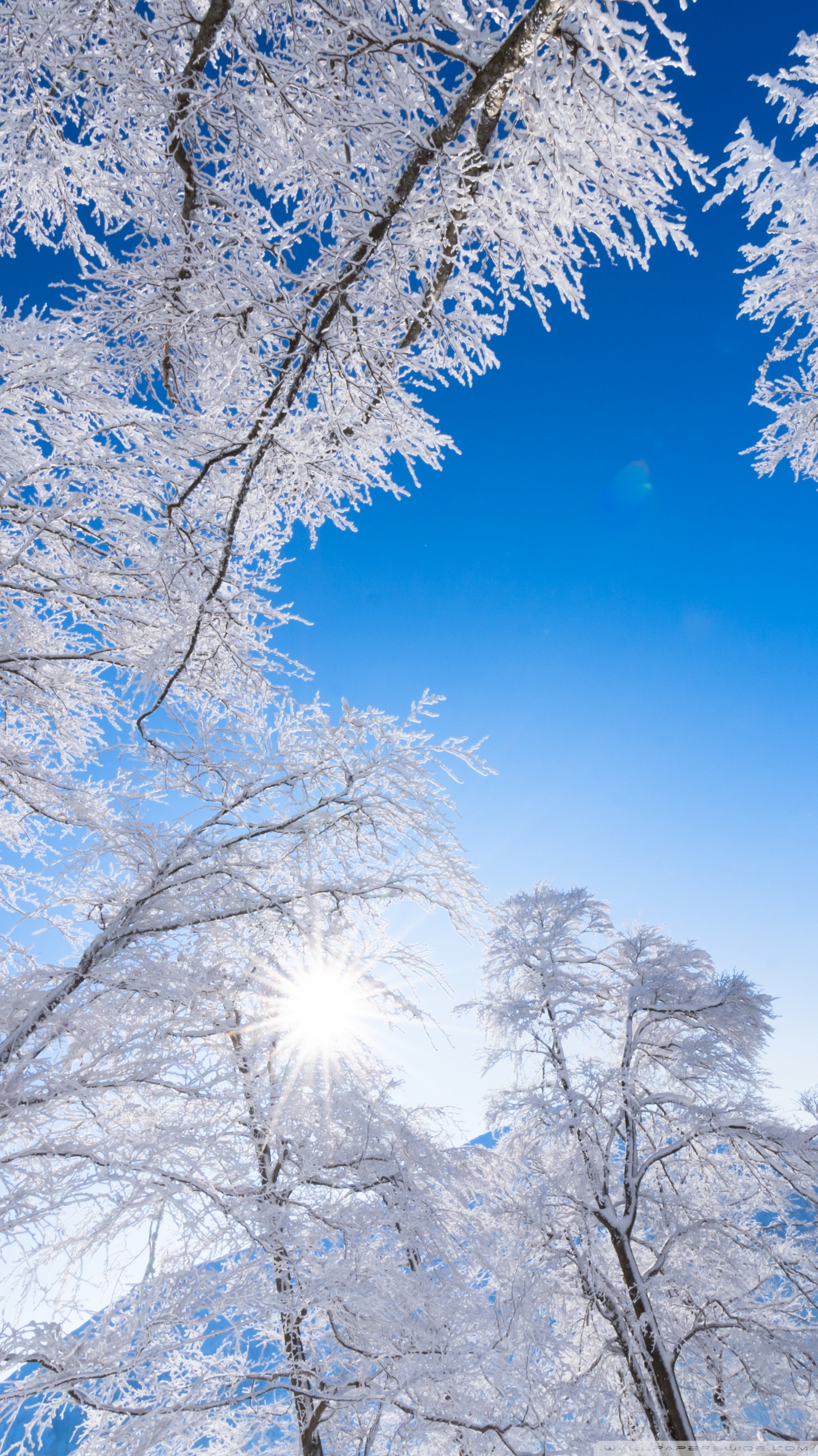 Ultra HD Desktop Background Wallpaper