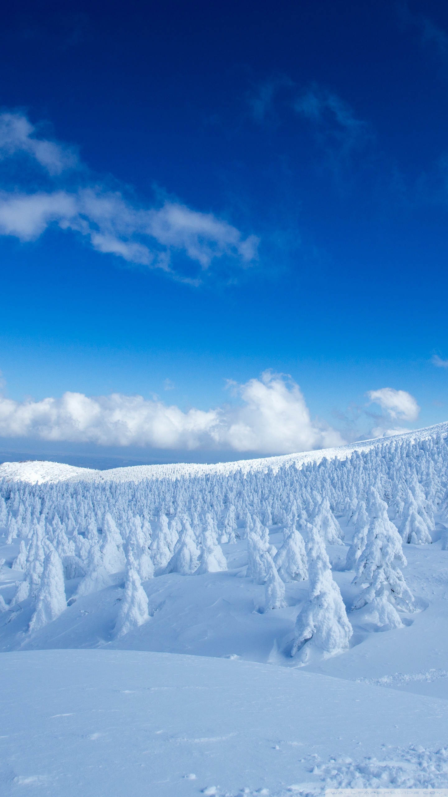 Desktop Background Wallpaper for 4K UHD