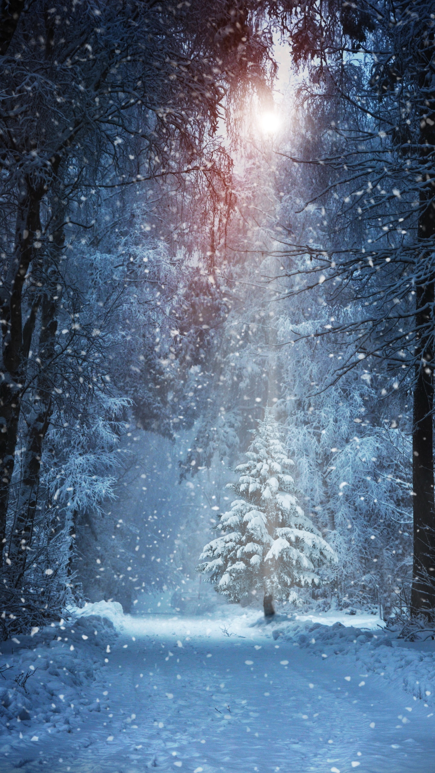 Earth Winter, Sunbeam, Snow, Snowfall