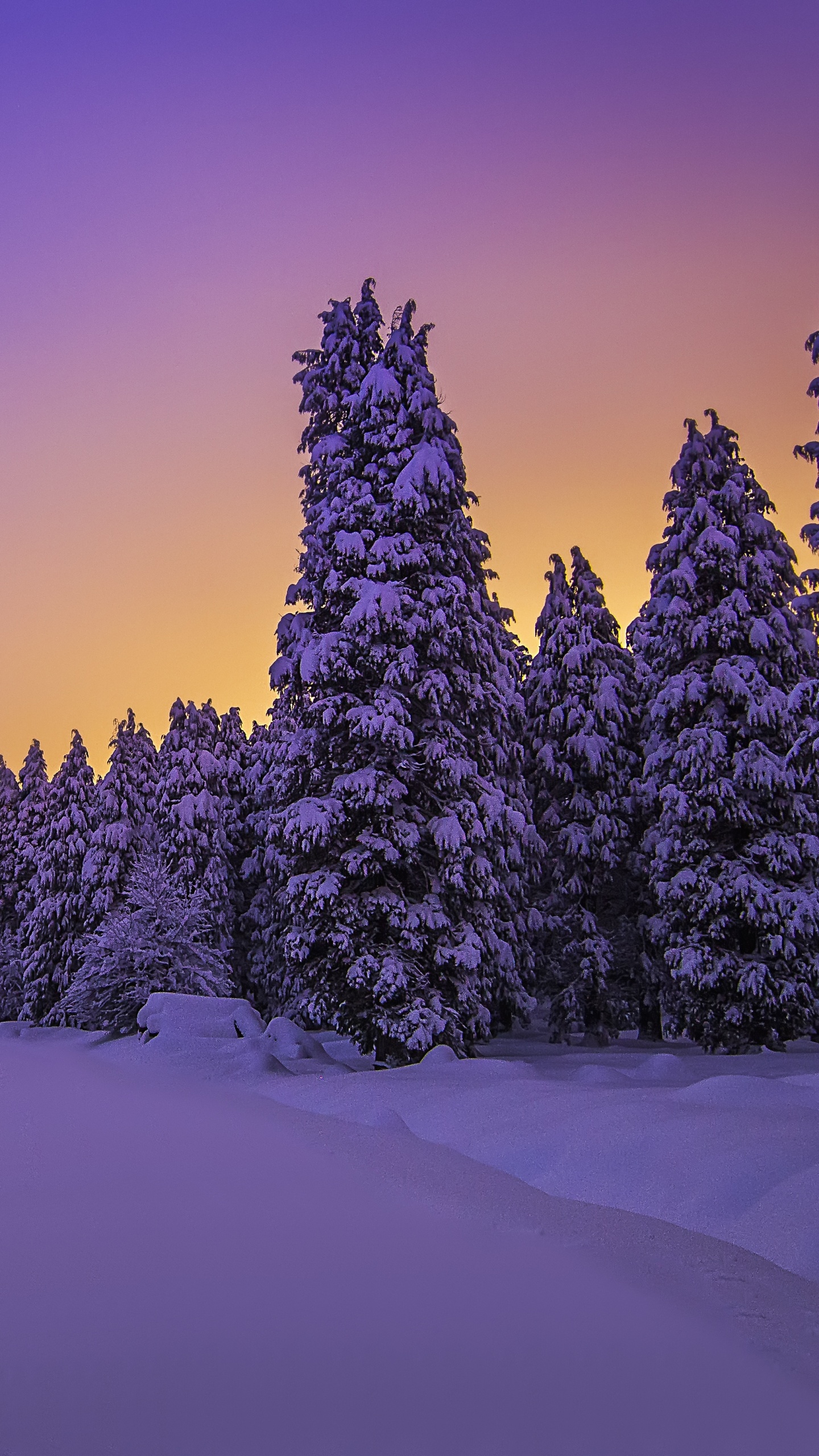 Landscape Wallpaper 4K, Purple sky
