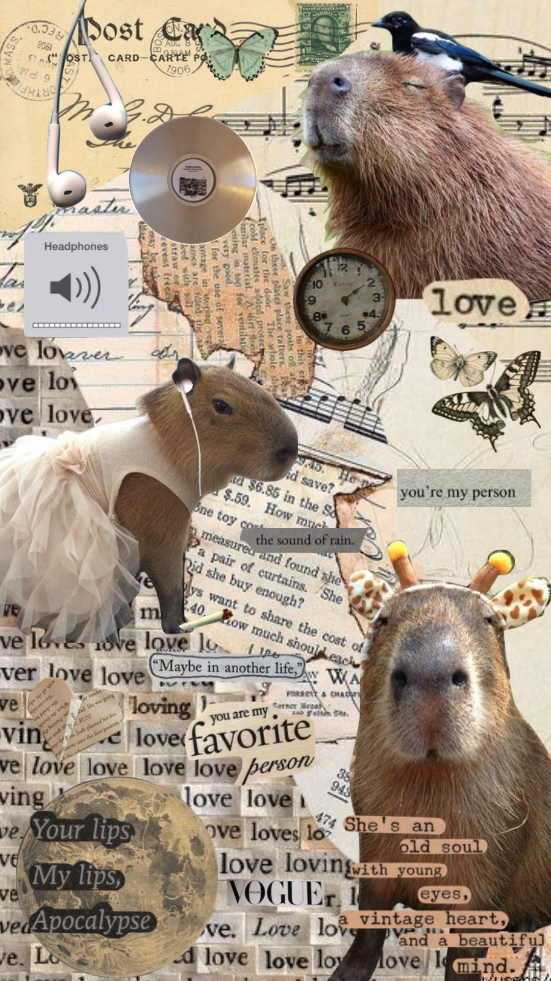 Cute animals, Capybara, Cute wallpaper