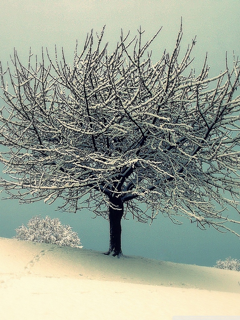 Vintage Winter Landscape Ultra HD