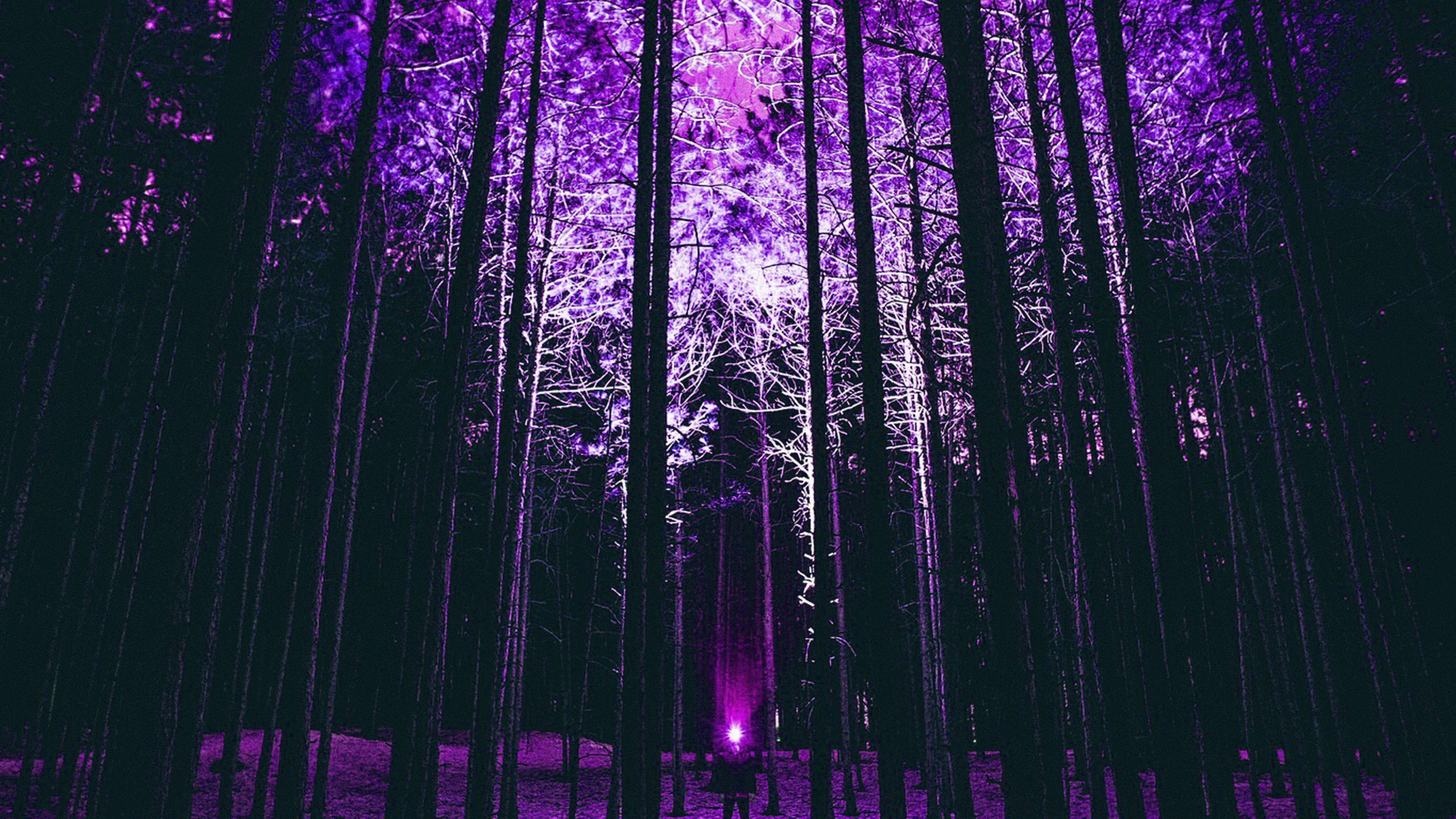 Wood Mountain Nature Purple Night