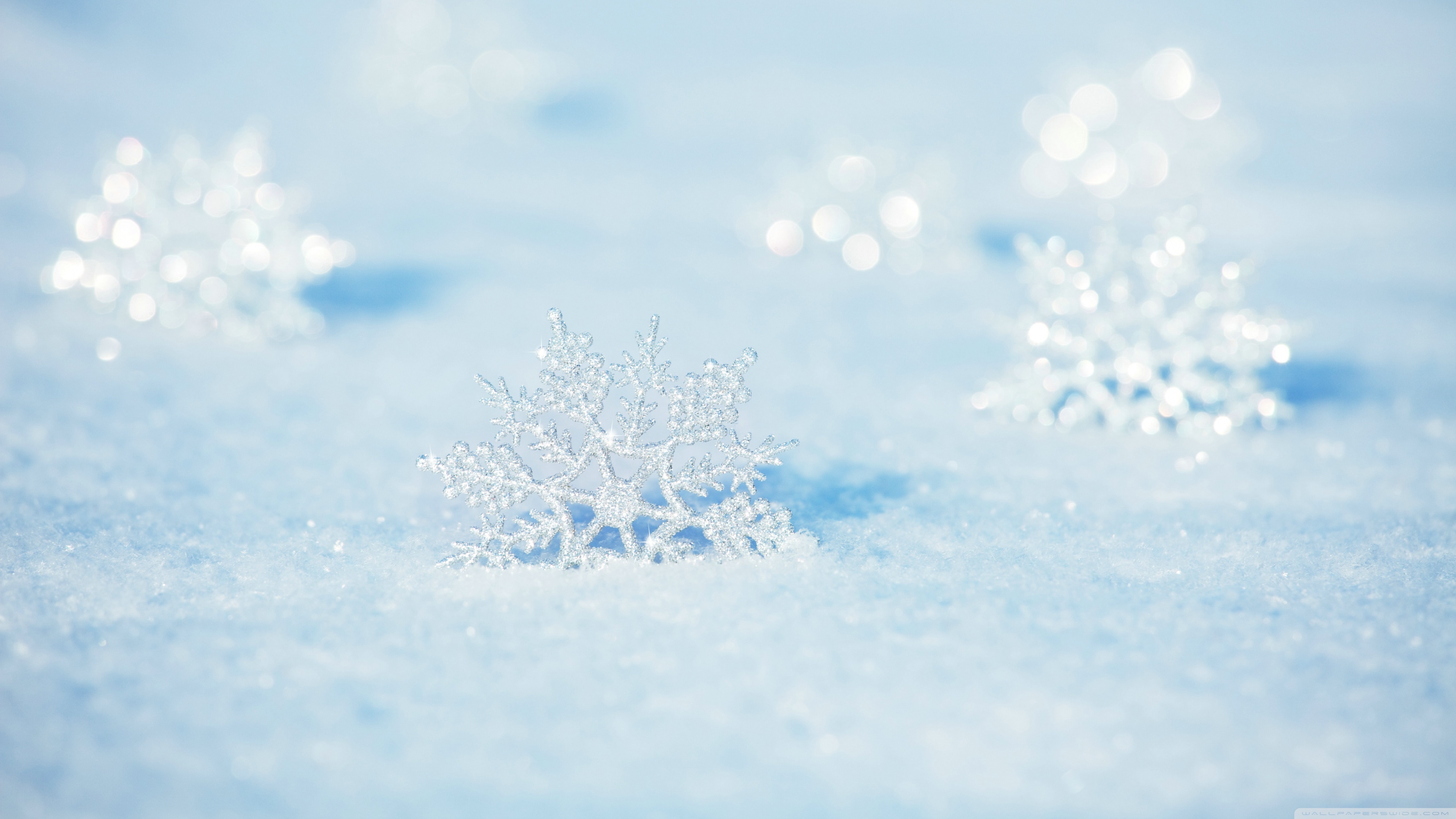 Snowflakes Ultra HD Desktop Background