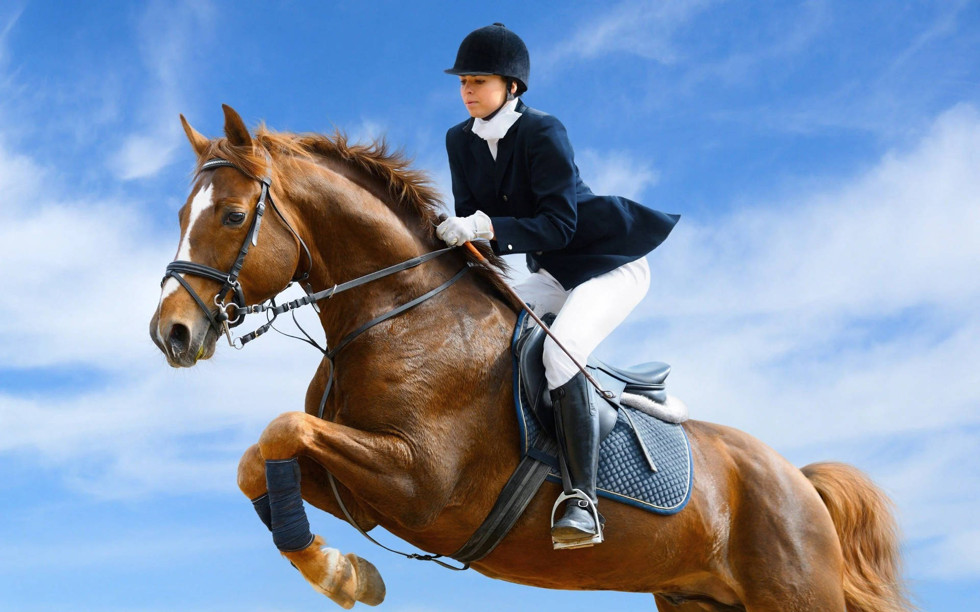 Horse Riding Wallpaper