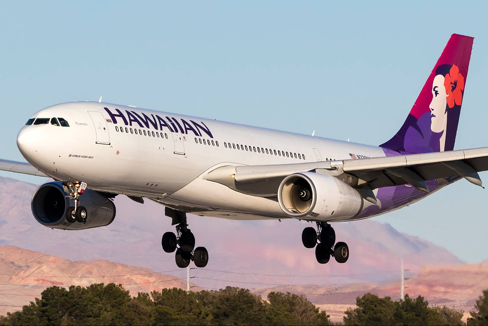 Hawaiian Airlines Picture
