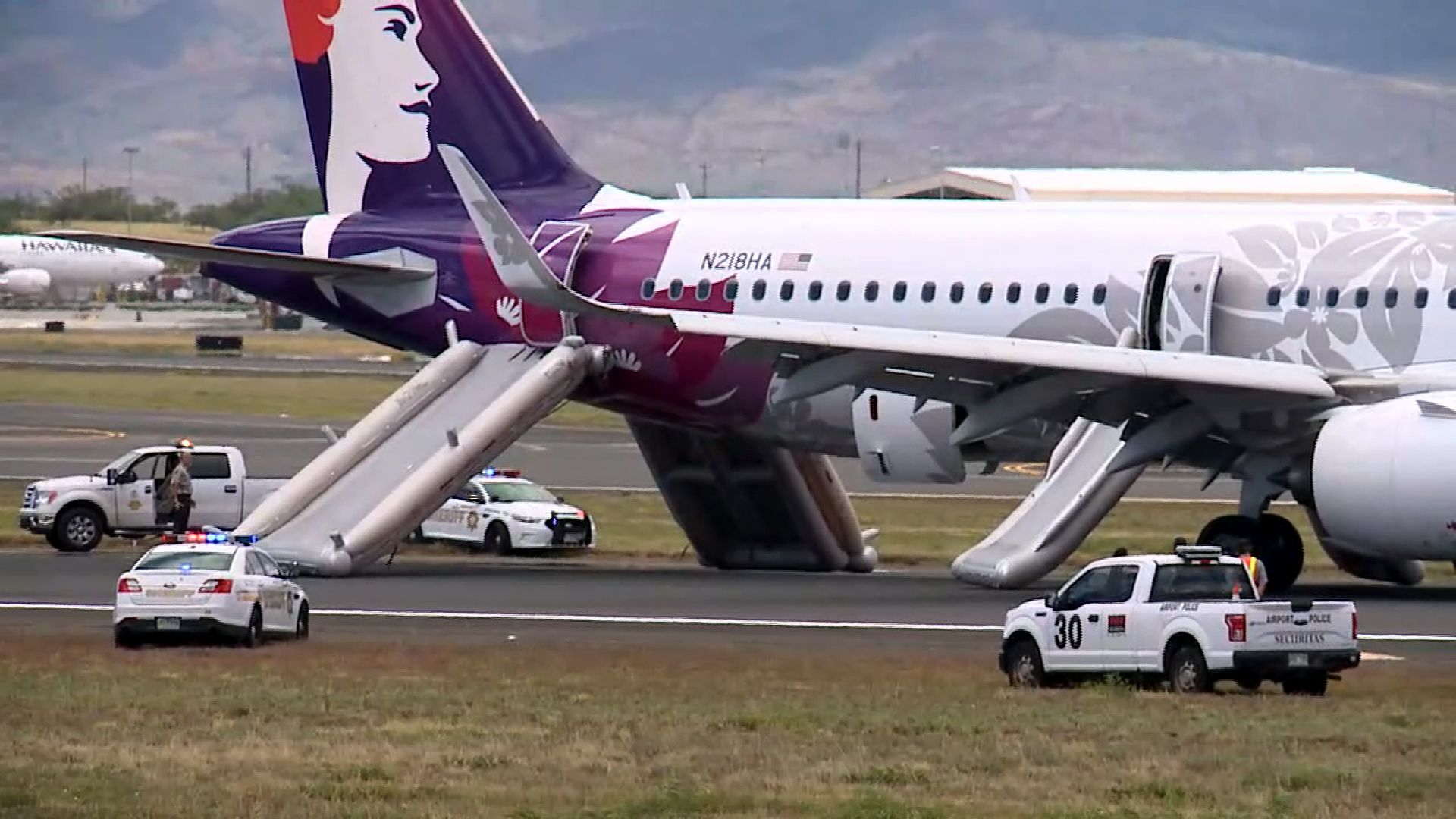 Seven Hawaiian Airlines passengers