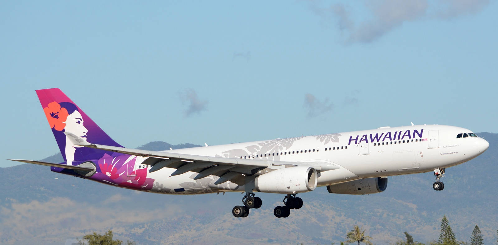 Hawaiian Airlines Plane Taking
