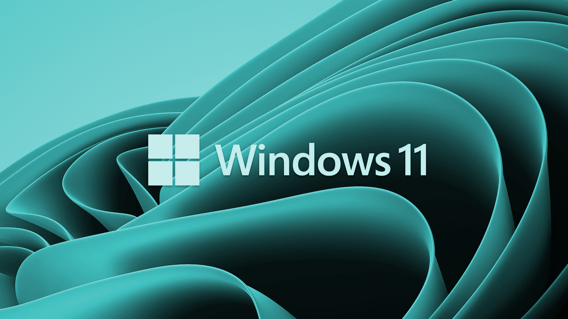 Windows 11 wallpaper for desktop