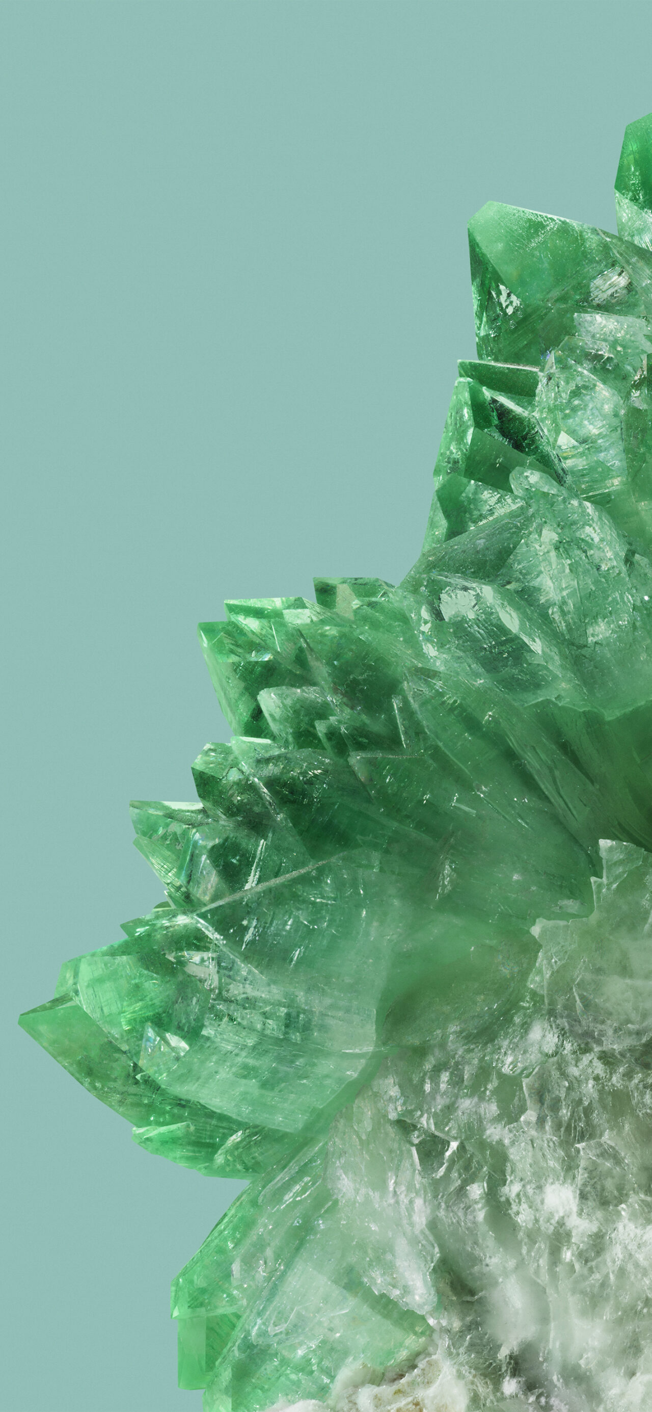 Google Pixel 8 Pro Wallpaper