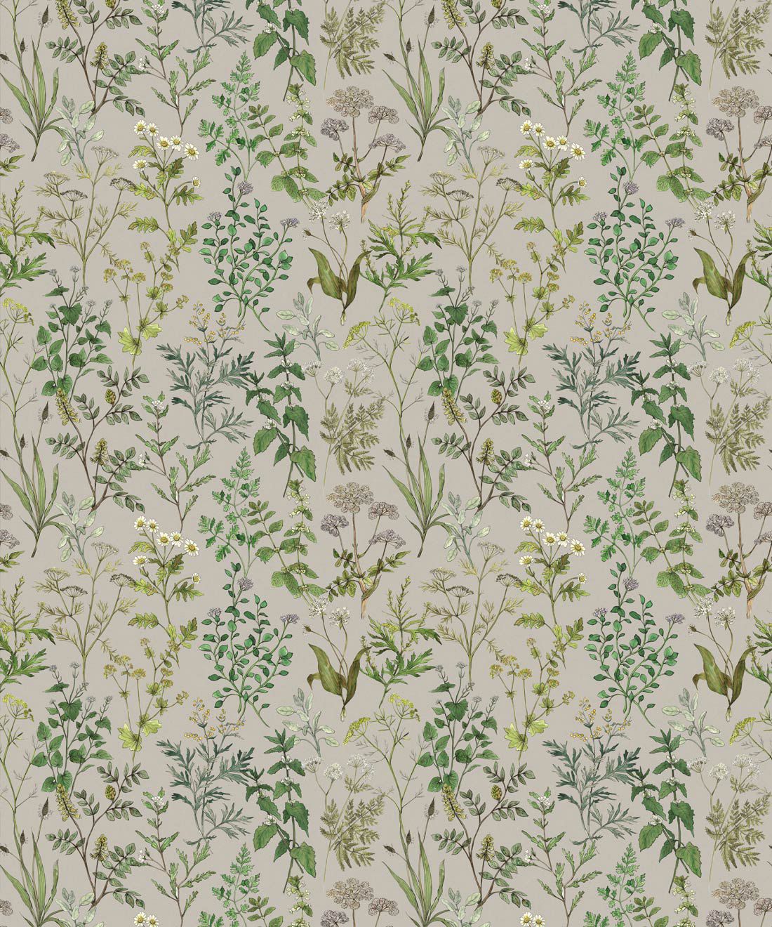 Herbarium Herbs Wallpaper • Botanical