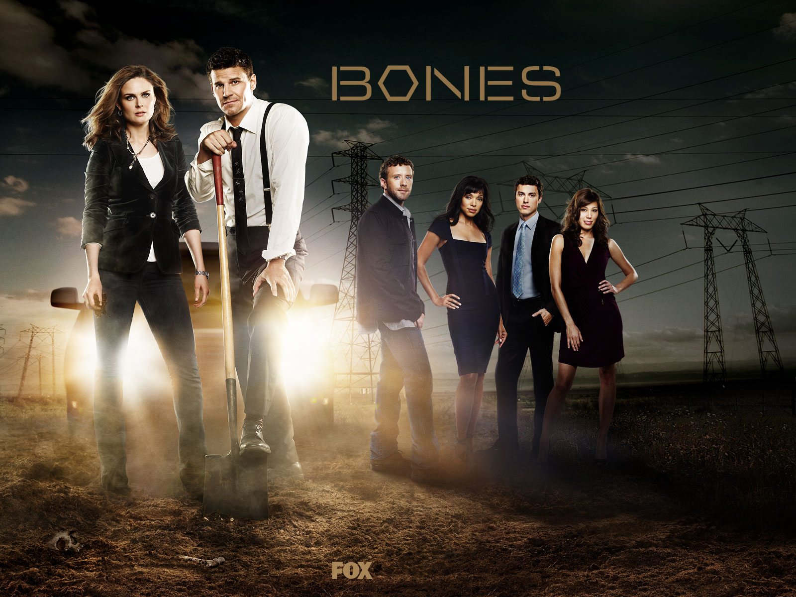TV Show Bones Wallpaper