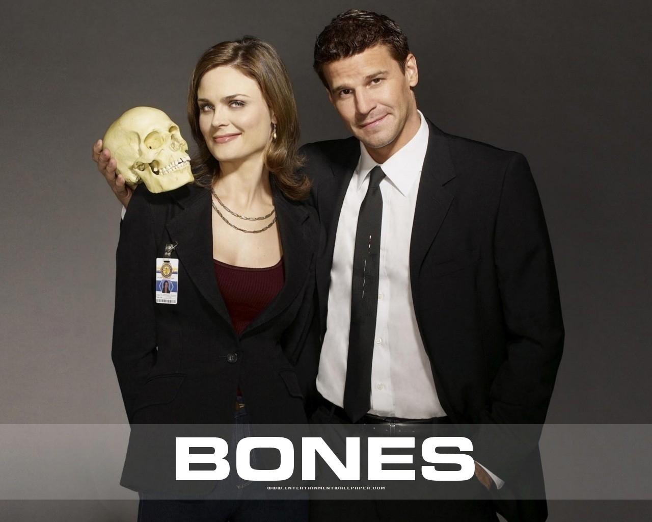 Wallpaper Bones TV series film